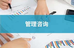 管理咨询